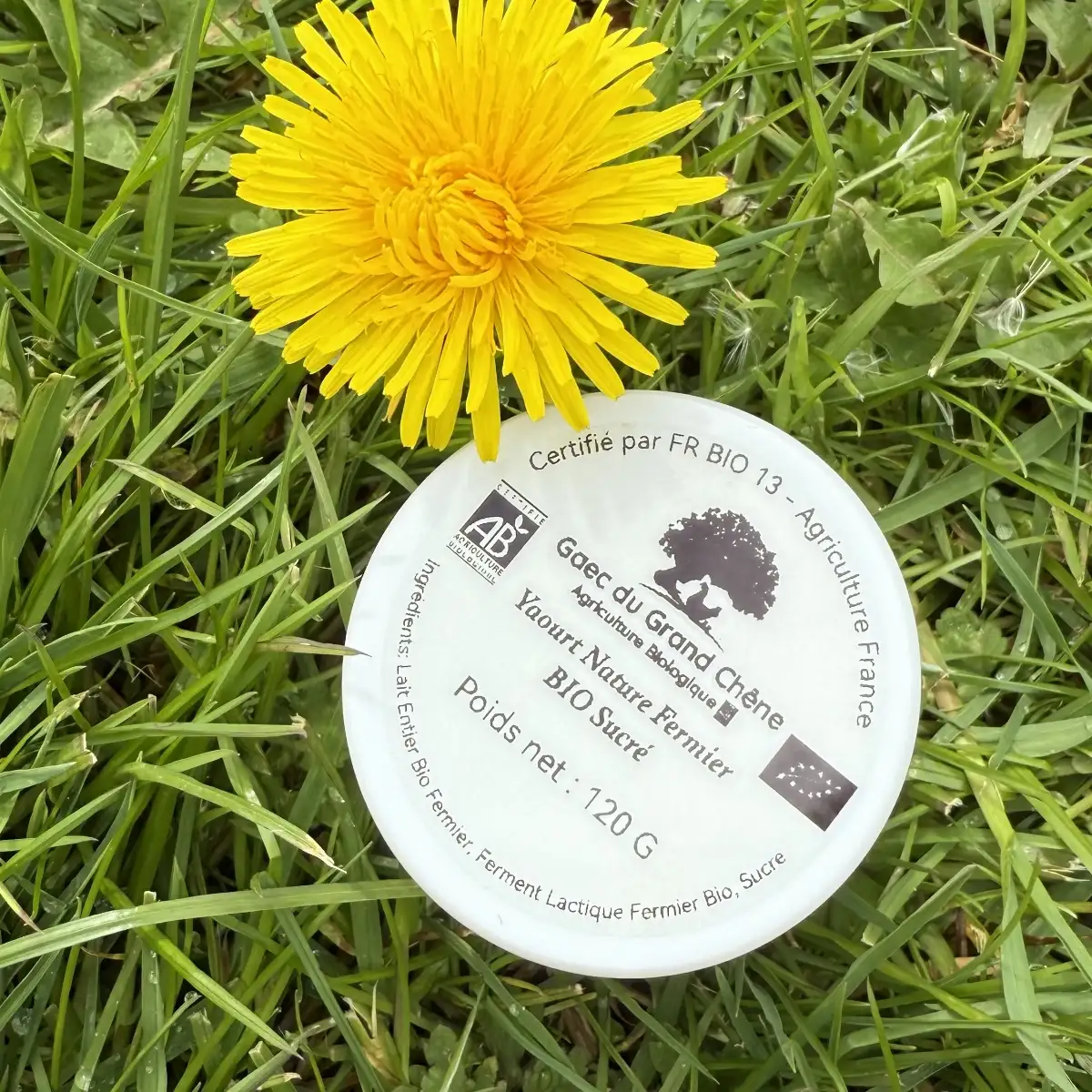 Yaourt Bio Fermier au lait Cru