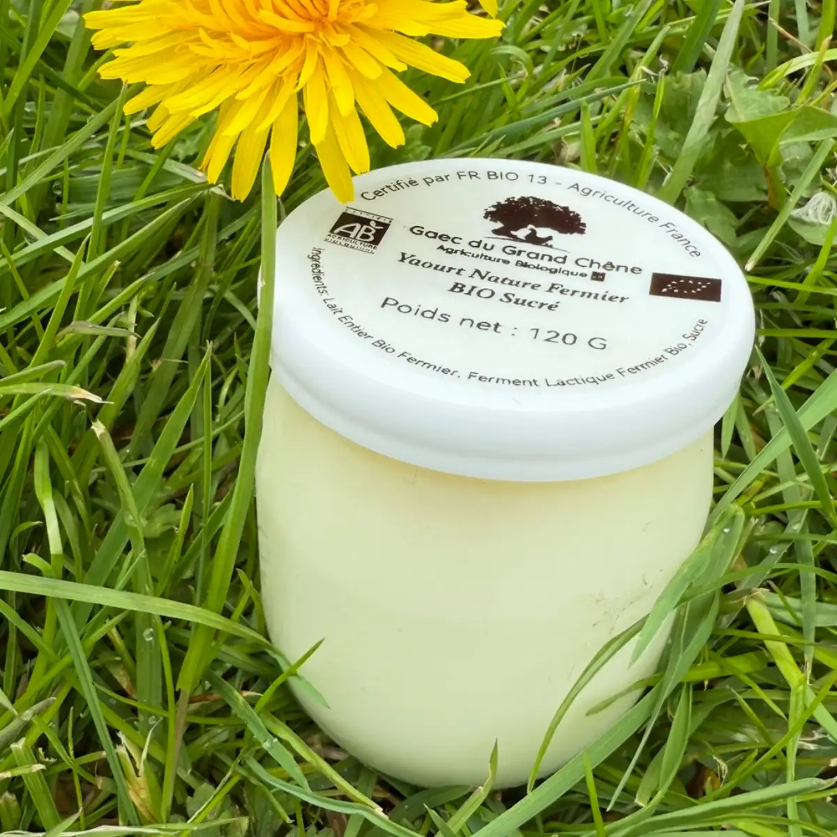 Yaourt Bio Fermier au lait Cru